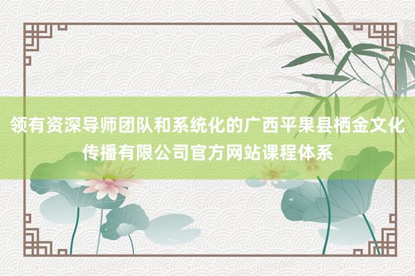 领有资深导师团队和系统化的广西平果县栖金文化传播有限公司官方网站课程体系